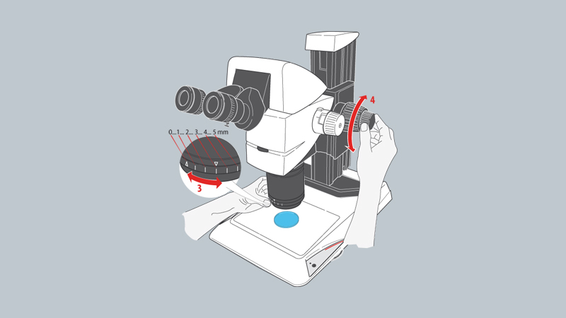 Illustration Giselbrecht